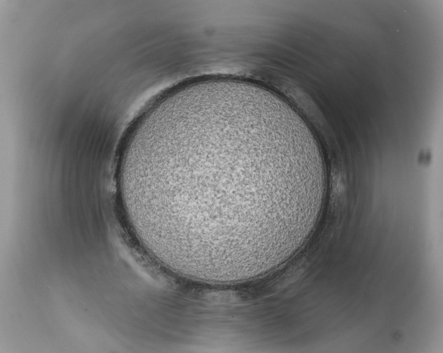 X0000112820628200909111323