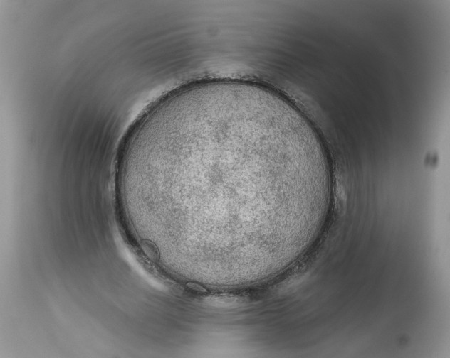 X0000112820630200909111323