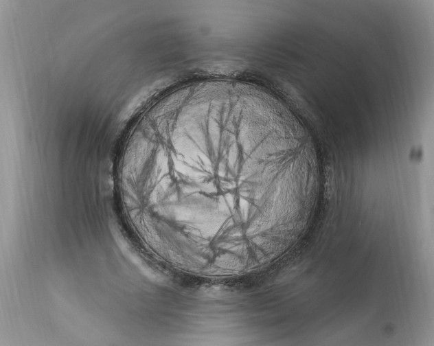 X0000112820634200909111323