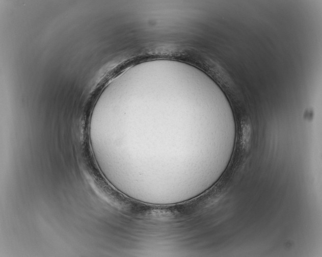 X0000112820636200909111323