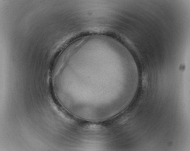 X0000112820637200909111323