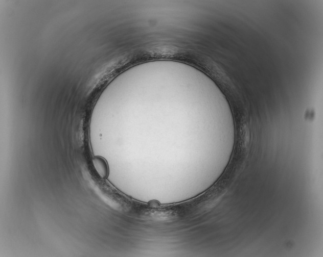 X0000112820638200909111323