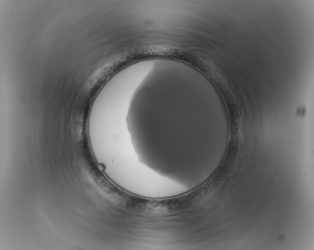 X0000112820640200909111323