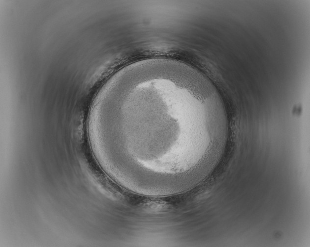 X0000112820642200909111323