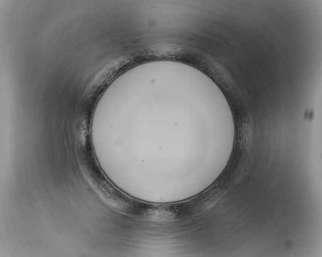 X0000112820644200909111323