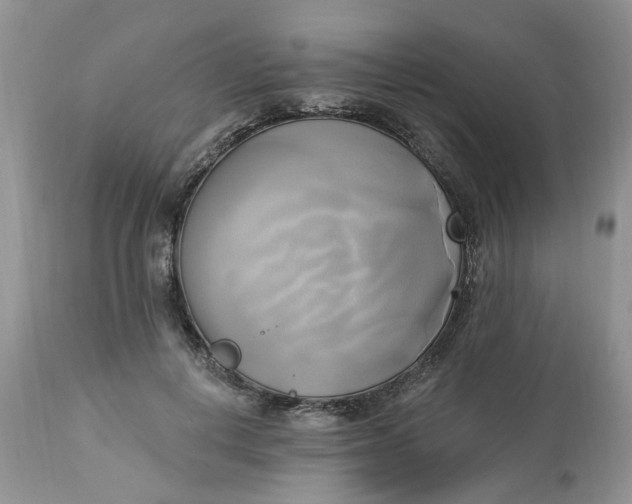 X0000112820648200909111323