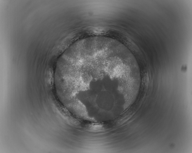 X0000112820651200909111323