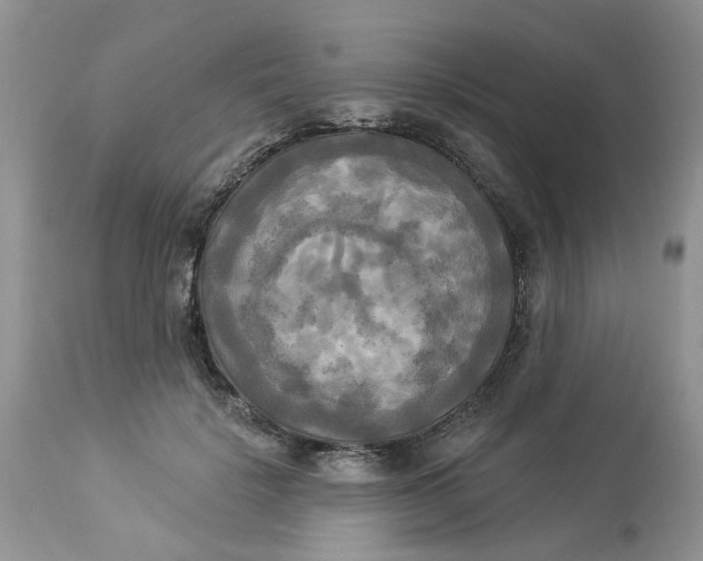 X0000112820652200909111323