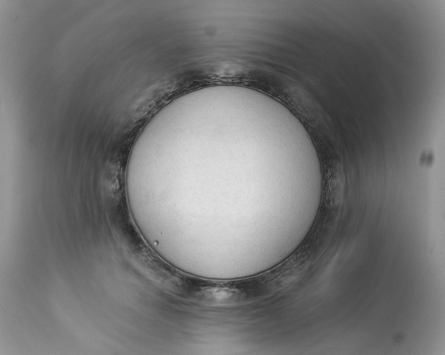 X0000112820654200909111323