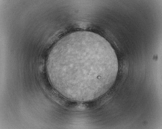 X0000112820656200909111323