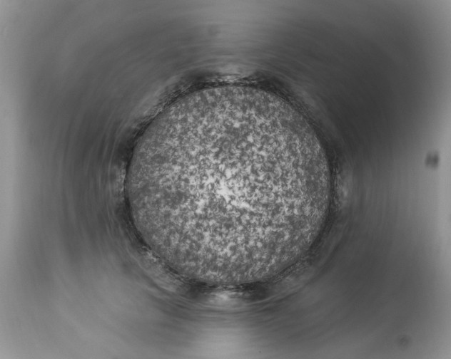 X0000112820657200909111324