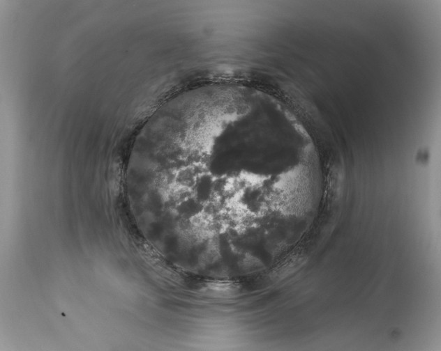 X0000112820659200909111324