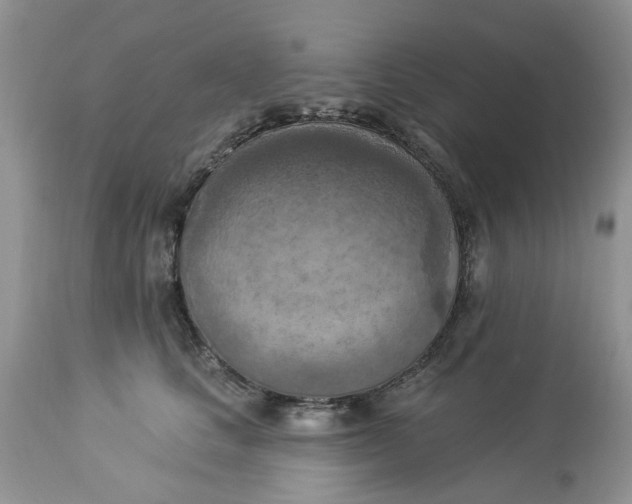 X0000112820661200909111324