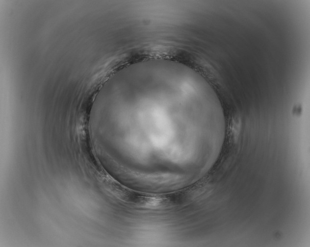 X0000112820663200909111324