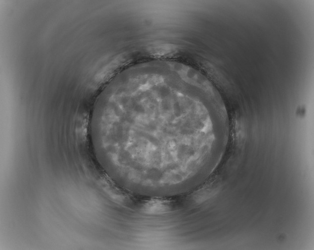 X0000112820664200909111324