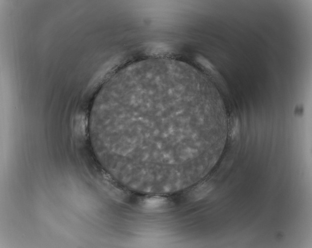 X0000112820669200909111324