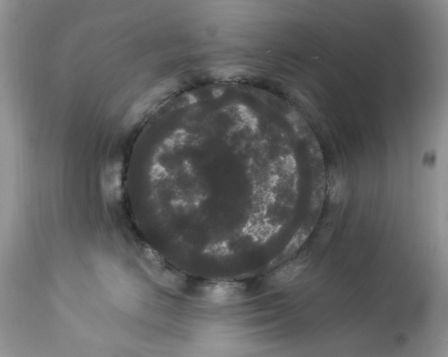 X0000112820670200909111324