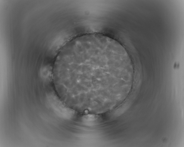 X0000112820672200909111324