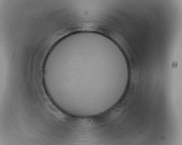 X0000112820673200909111323