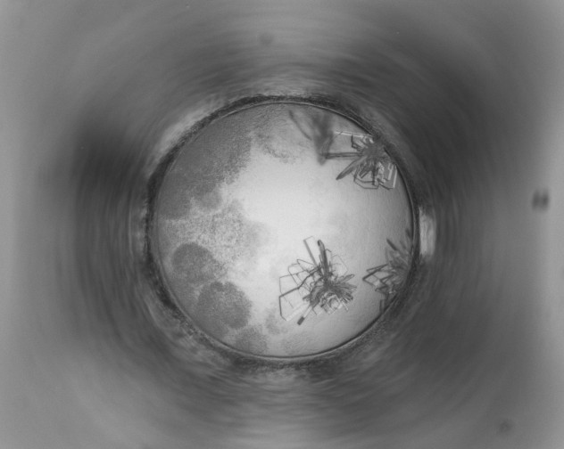 X0000112820675200909111323