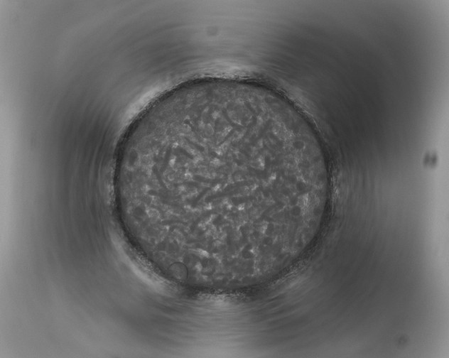 X0000112820679200909111323