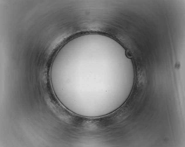 X0000112820680200909111323