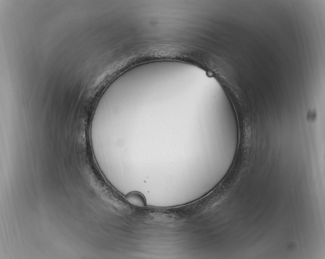 X0000112820681200909111323