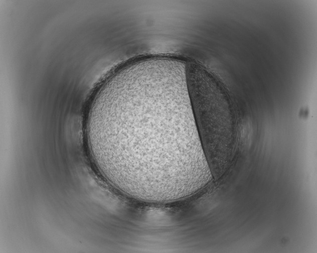 X0000112820684200909111323