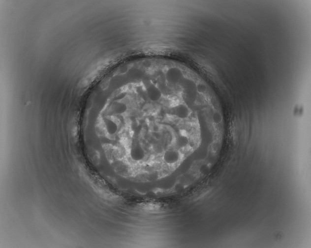 X0000112820687200909111323