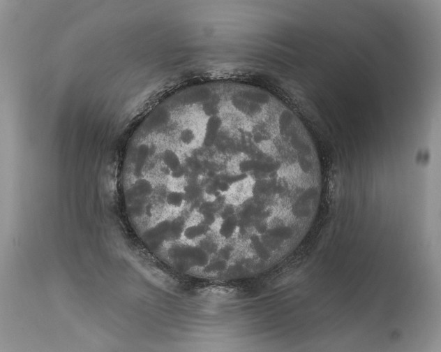 X0000112820691200909111323