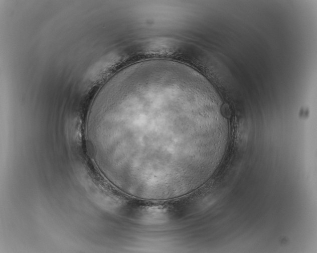 X0000112820692200909111323