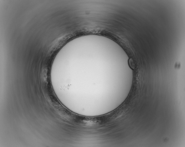 X0000112820693200909111323