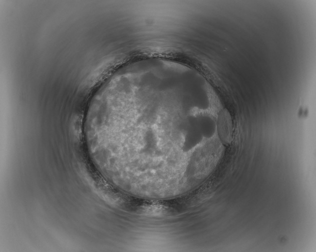 X0000112820695200909111323