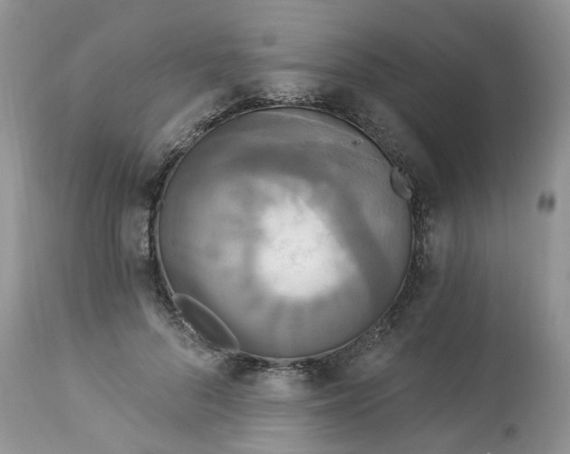 X0000112820696200909111323