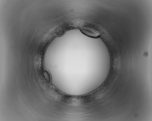 X0000112820697200909111323