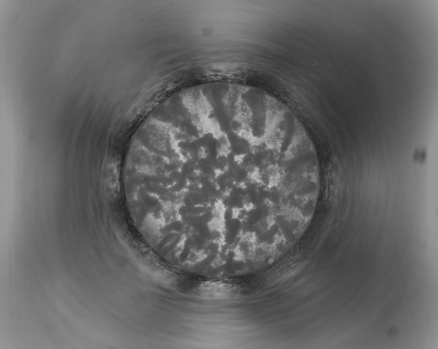 X0000112820699200909111323