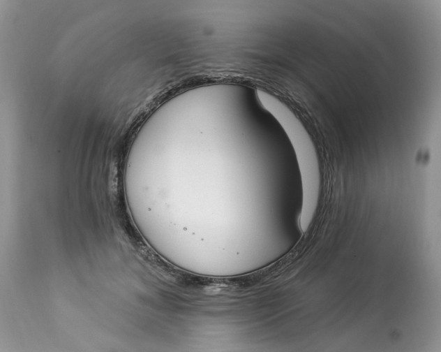 X0000112820700200909111323