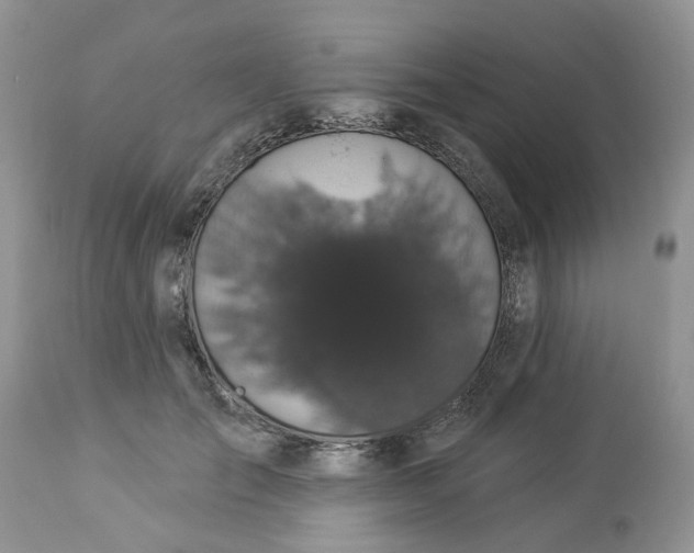 X0000112820701200909111323