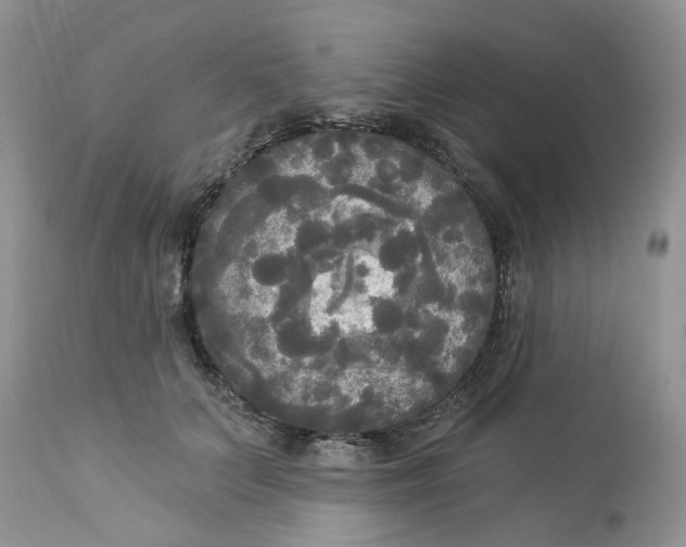 X0000112820703200909111322