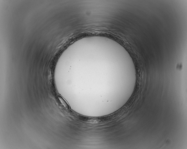 X0000112820704200909111322