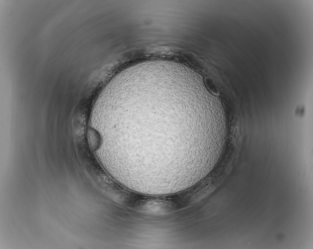 X0000112820708200909111322