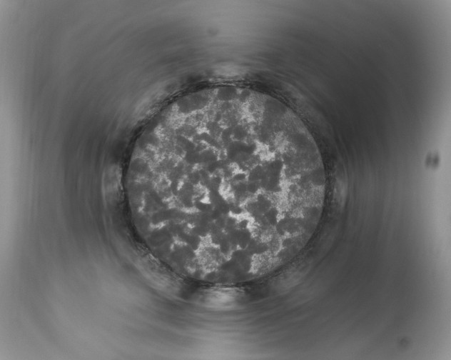 X0000112820711200909111322