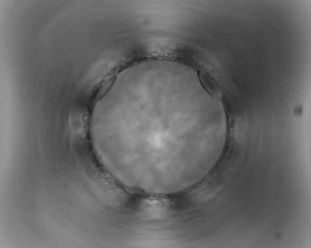 X0000112820712200909111322