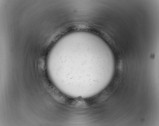 X0000112820715200909111322