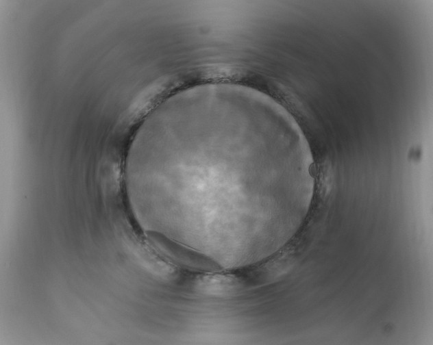 X0000112820716200909111322