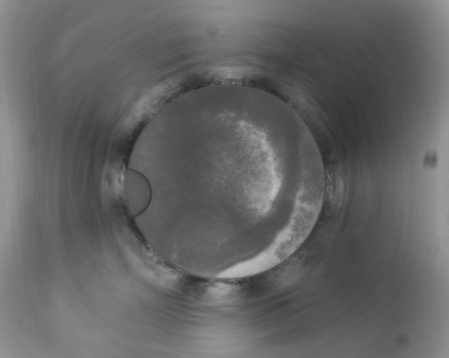 X0000112820718200909111322