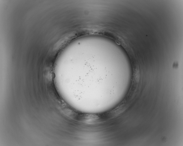 X0000112820719200909111322