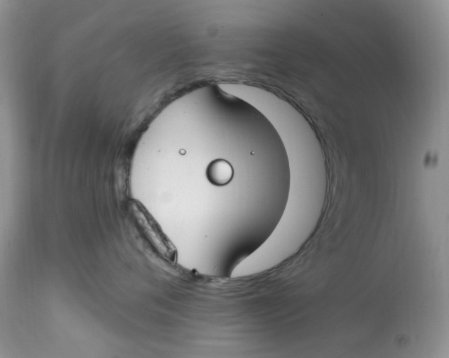 X0000112820720200909111322