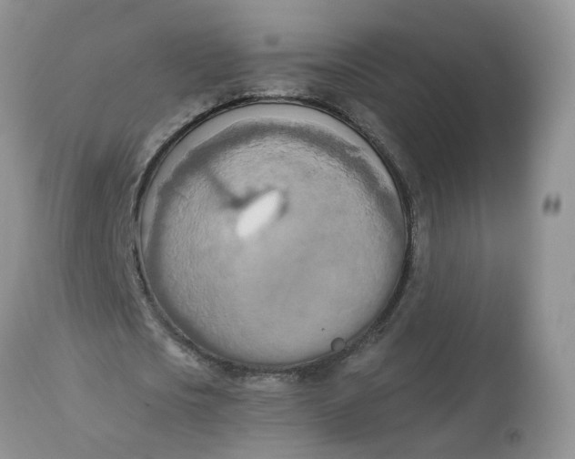 X0000112820721200909111322