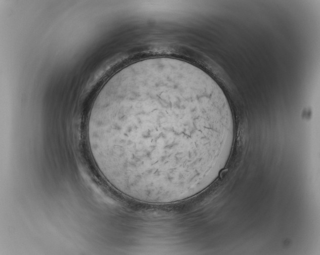 X0000112820722200909111322